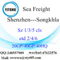 Shenzhen Port Sea Freight Versand nach Songkhla